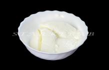 Fresh Plain Yogurt